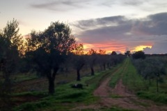 20251202_163734