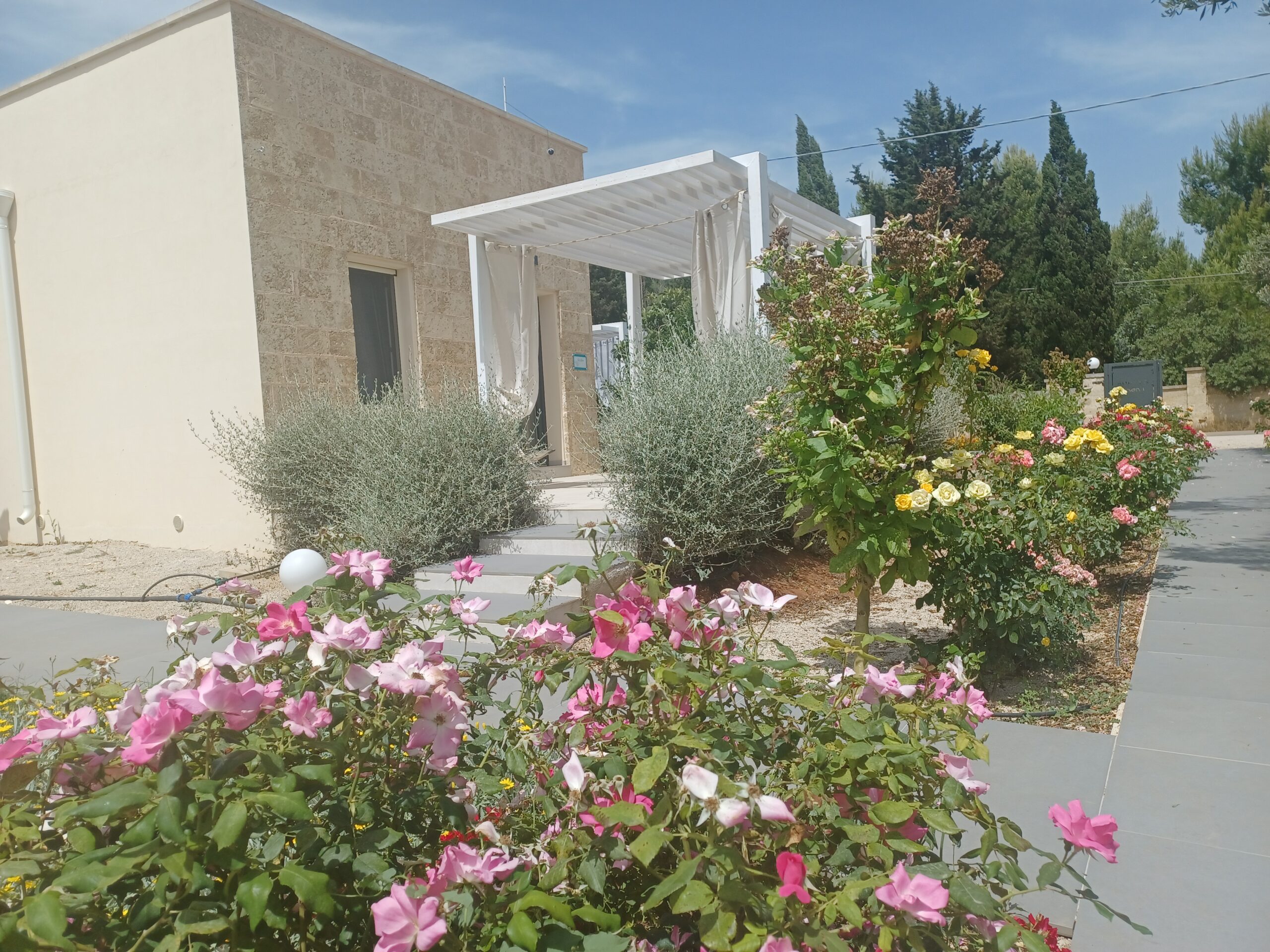 Zeituna Lodge